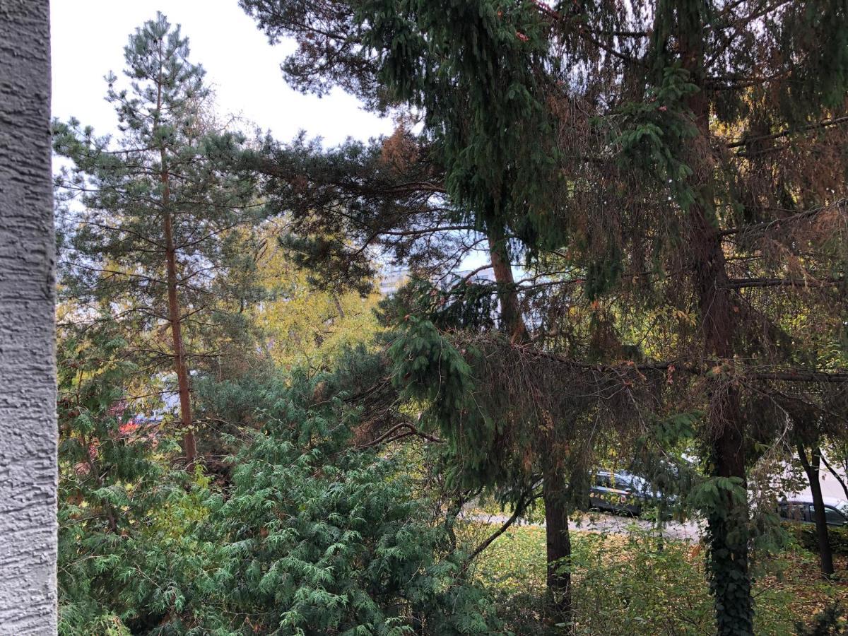 Verdant Sadyba Warszawa Exteriör bild